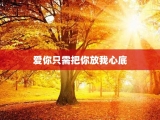 爱你只需把你放我心底