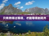 只有熬得过等待，才能等得到花开
