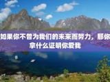 如果你不曾为我们的未来而努力，那你拿什么证明你爱我