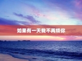 如果有一天我不再烦你