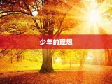 少年的理想
