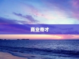 商业奇才