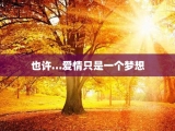 也许…爱情只是一个梦想