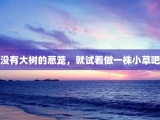 没有大树的葱茏，就试着做一株小草吧
