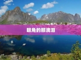 眼角的那滴泪