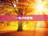 一粒沙的爱情