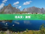 沈从文：友情