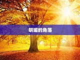 明媚的角落