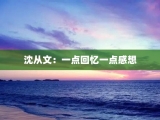 沈从文：一点回忆一点感想