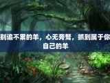 别追不累的羊，心无旁骜，抓到属于你自己的羊