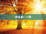 沈从文：一天
