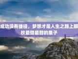 成功没有捷径，梦想才是人生之路上那枚最甜最甜的果子