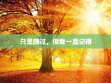 只是路过，但我一直记得
