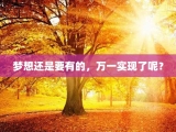 梦想还是要有的，万一实现了呢？