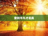 爱到平凡才是真