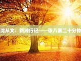 沈从文：新湘行记——张八寨二十分钟
