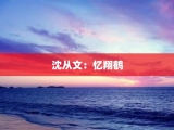 沈从文：忆翔鹤