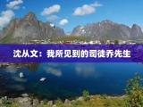 沈从文：我所见到的司徒乔先生