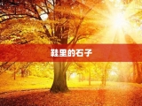 鞋里的石子
