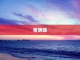 夜明珠