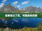 如果错过了花，可能会收获雨