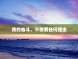 我的奋斗，不需要任何理由