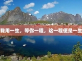 我用一生，等你一程，这一程便是一生