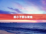 那小子那么爱我