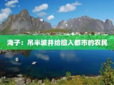 海子：吊半坡并给擅入都市的农民