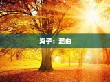 海子：混曲
