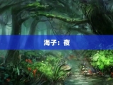 海子：夜