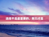 选择不是最重要的，努力才是