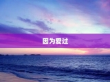 因为爱过