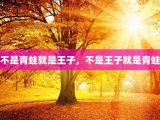 不是青蛙就是王子，不是王子就是青蛙