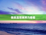 我就是想再努力看看