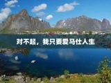 对不起，我只要爱马仕人生
