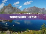 像撒哈拉植物一样去活