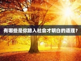 有哪些是你踏入社会才明白的道理？