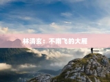 林清玄：不南飞的大雁
