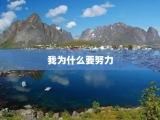 我为什么要努力