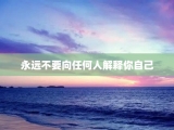 永远不要向任何人解释你自己