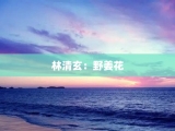 林清玄：野姜花