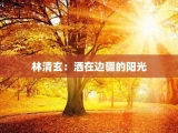 林清玄：洒在边疆的阳光