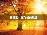 林清玄：在飞机的航道