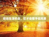 你给生活机会，它才会赠予你风景