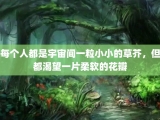 每个人都是宇宙间一粒小小的草芥，但都渴望一片柔软的花瓣