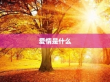 爱情是什么