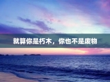 就算你是朽木，你也不是废物