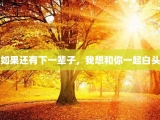 如果还有下一辈子，我想和你一起白头