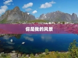 你是我的风景